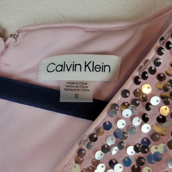 NWT Calvin Klein Sequined V-Neck Cap Sleeve Dress Cherry Blossom Silver - Picture 9 of 12